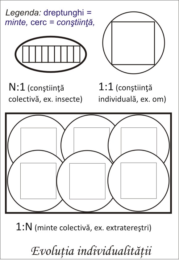 evolutia individualitatii