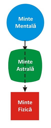 Cele trei minti ale psihicului uman Cele trei minti ale psihicului uman
