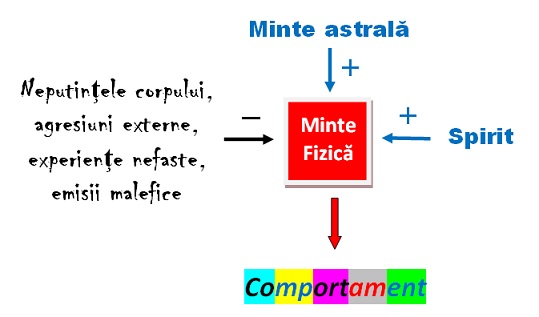 Influentele benefice si malefice asupra comportamentului uman Influentele benefice si malefice asupra comportamentului uman