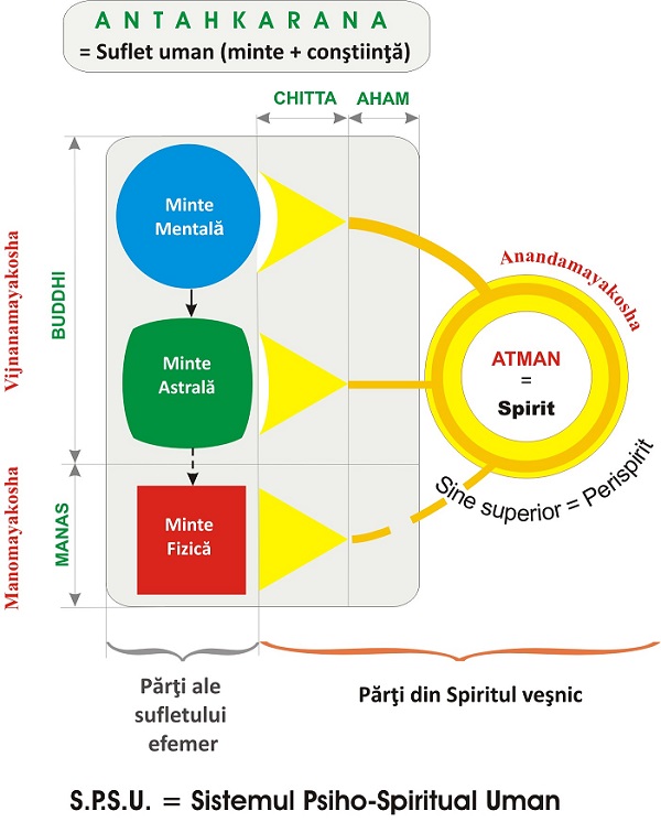 Sistemul Psiho-Spiritual Uman (S.P.S.U.) Sistemul Psiho-Spiritual Uman (S.P.S.U.)