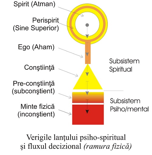 Verigile lantului psiho-spiritual si fluxul decizional pe ramura fizica a S.P.S.U. Verigile lantului psiho-spiritual si fluxul decizional pe ramura fizica a S.P.S.U.