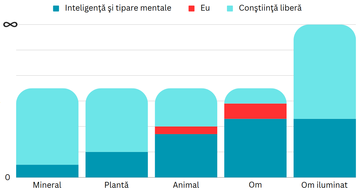 constiinta individuala