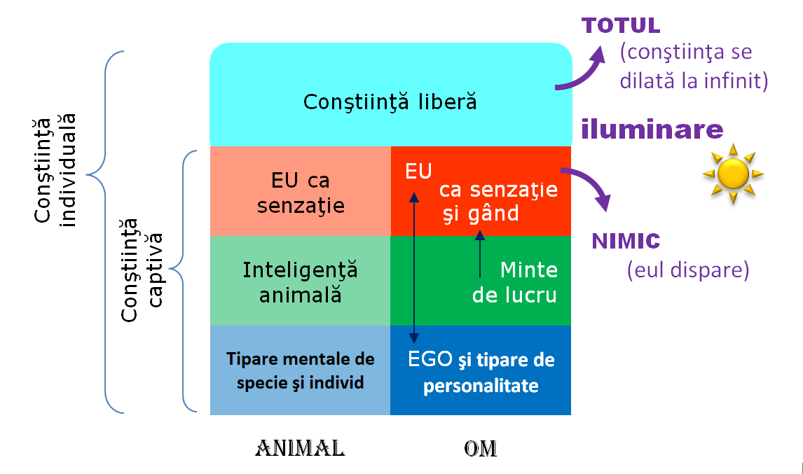 constiinta si iluminarea