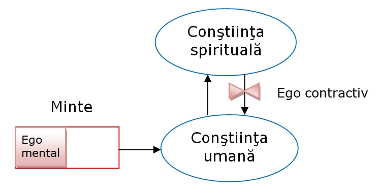 două egouri