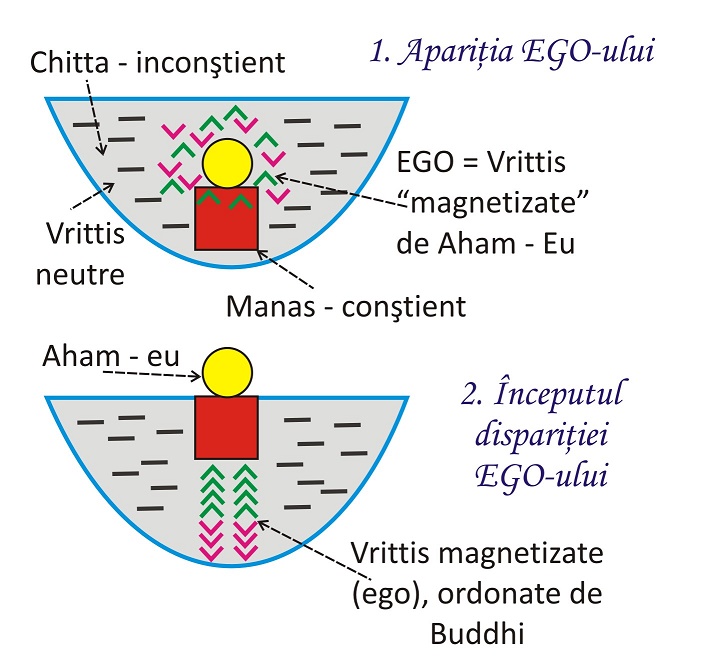 ego - vrittis