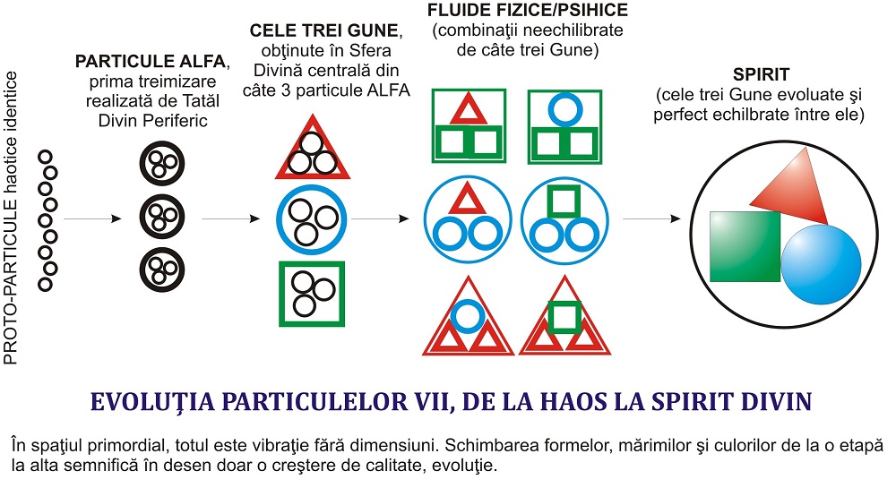 Evolutia particulei vii, de la haos la Spirit divin