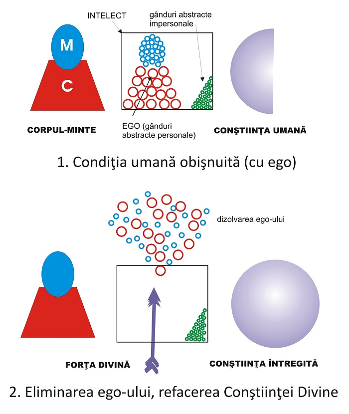 mecanismul iluminarii