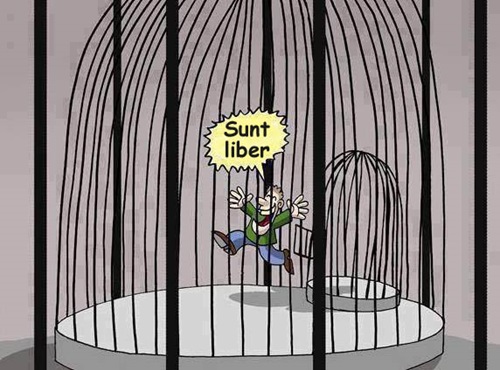 am scapat din colivie