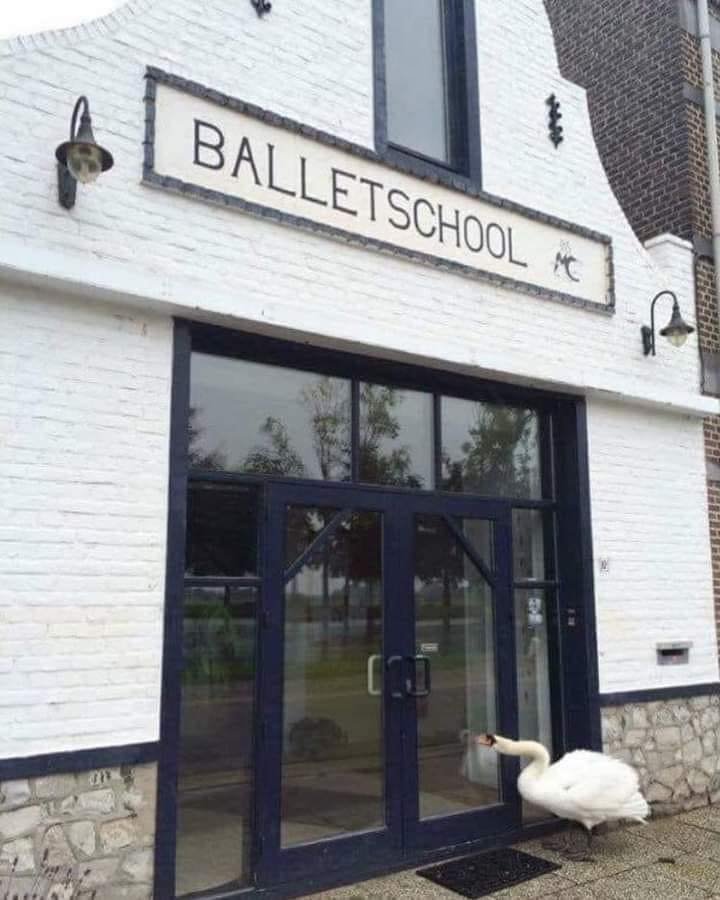 lebada la scoala de balet