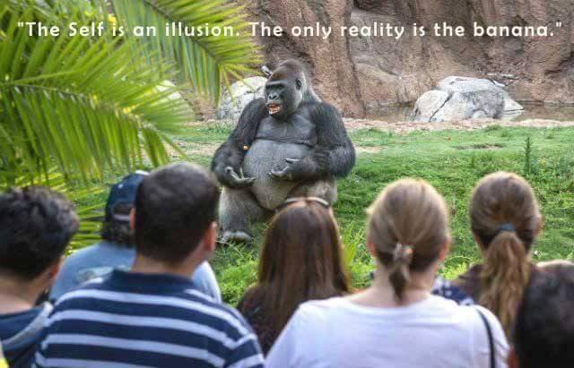 the self is an illusion