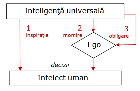proces decizional in om