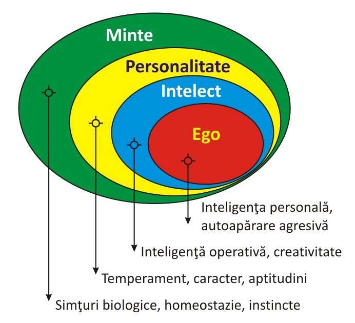 Minte > personalitate > intelect > ego