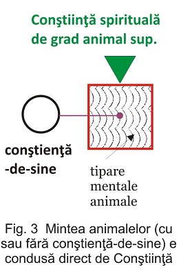 mintea animalelor
