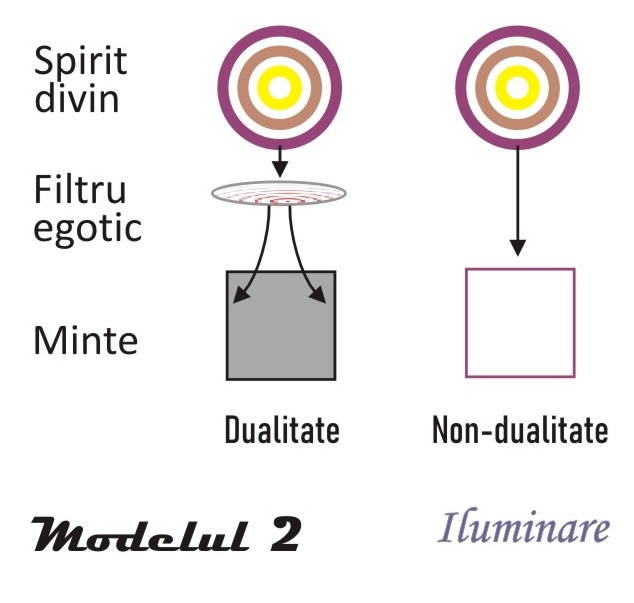 modelul 2