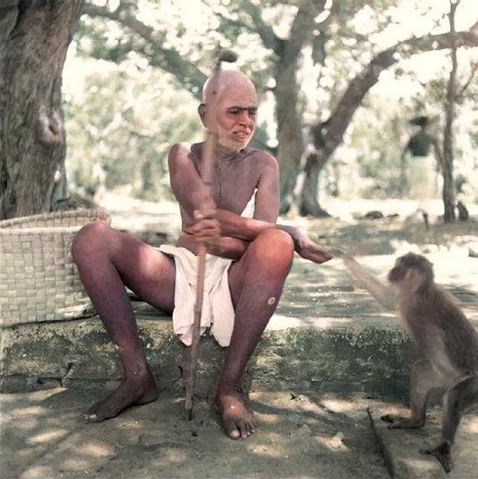 ramana maharshi