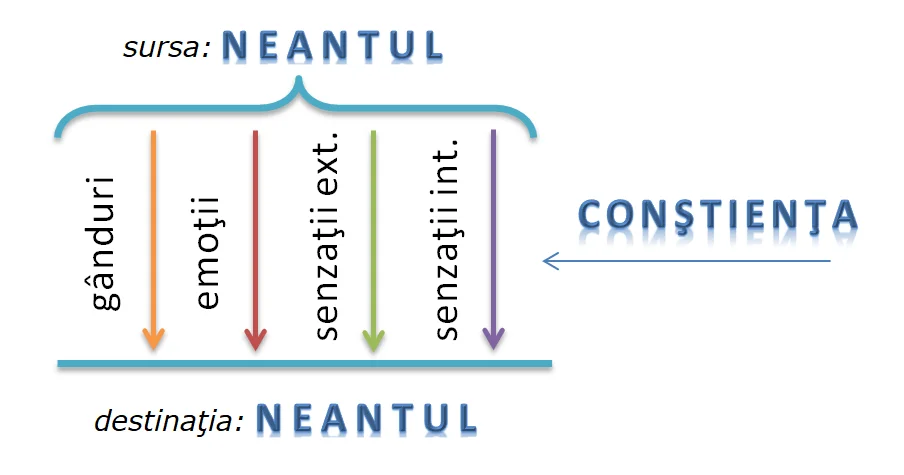 Constiinta si Neantul