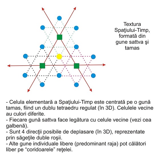 Structura celulelor de spatiu-timp